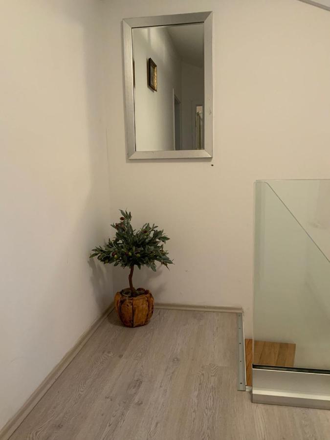 Apartman Lili Zaton  Εξωτερικό φωτογραφία