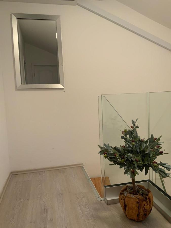 Apartman Lili Zaton  Εξωτερικό φωτογραφία